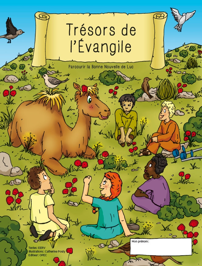 Trésors de l'Évangile. Parcourir la Bonne Nouvelle de Luc