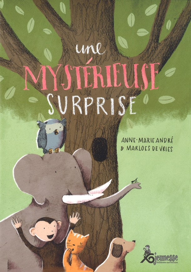 Mystérieuse surprise (Une)