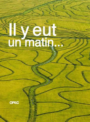 Il y eut un matin. À l'aube de l'humain